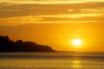 Golden Sunrise Golden Sunrise